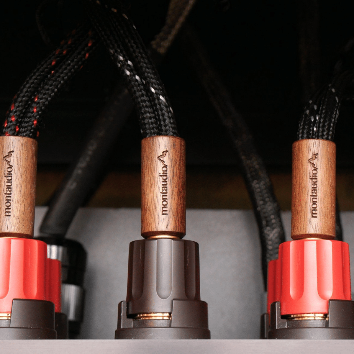 Montaudio Stewart SR Reference 3m Speaker Cables