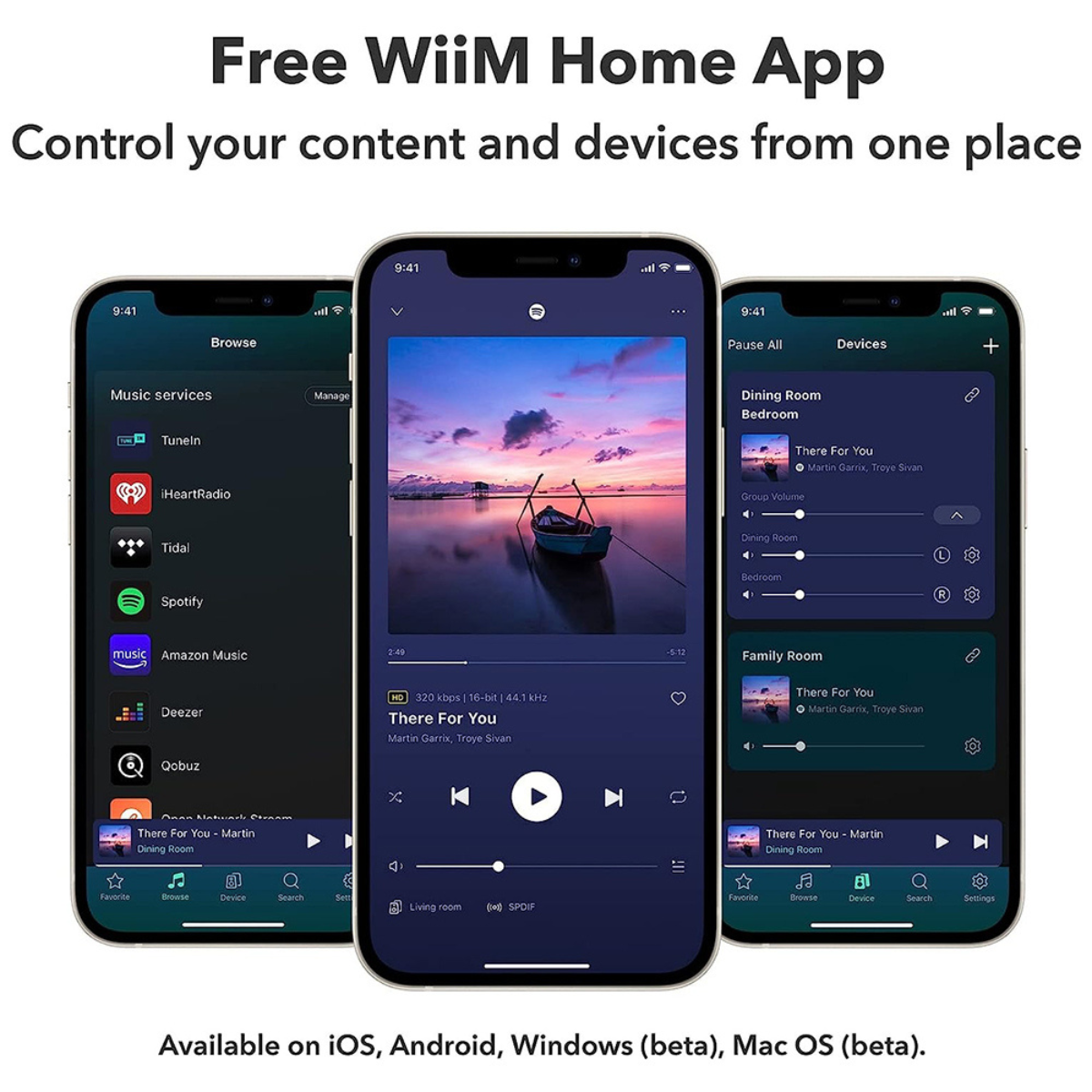 WiiM Mini Wireless Audio Streamer