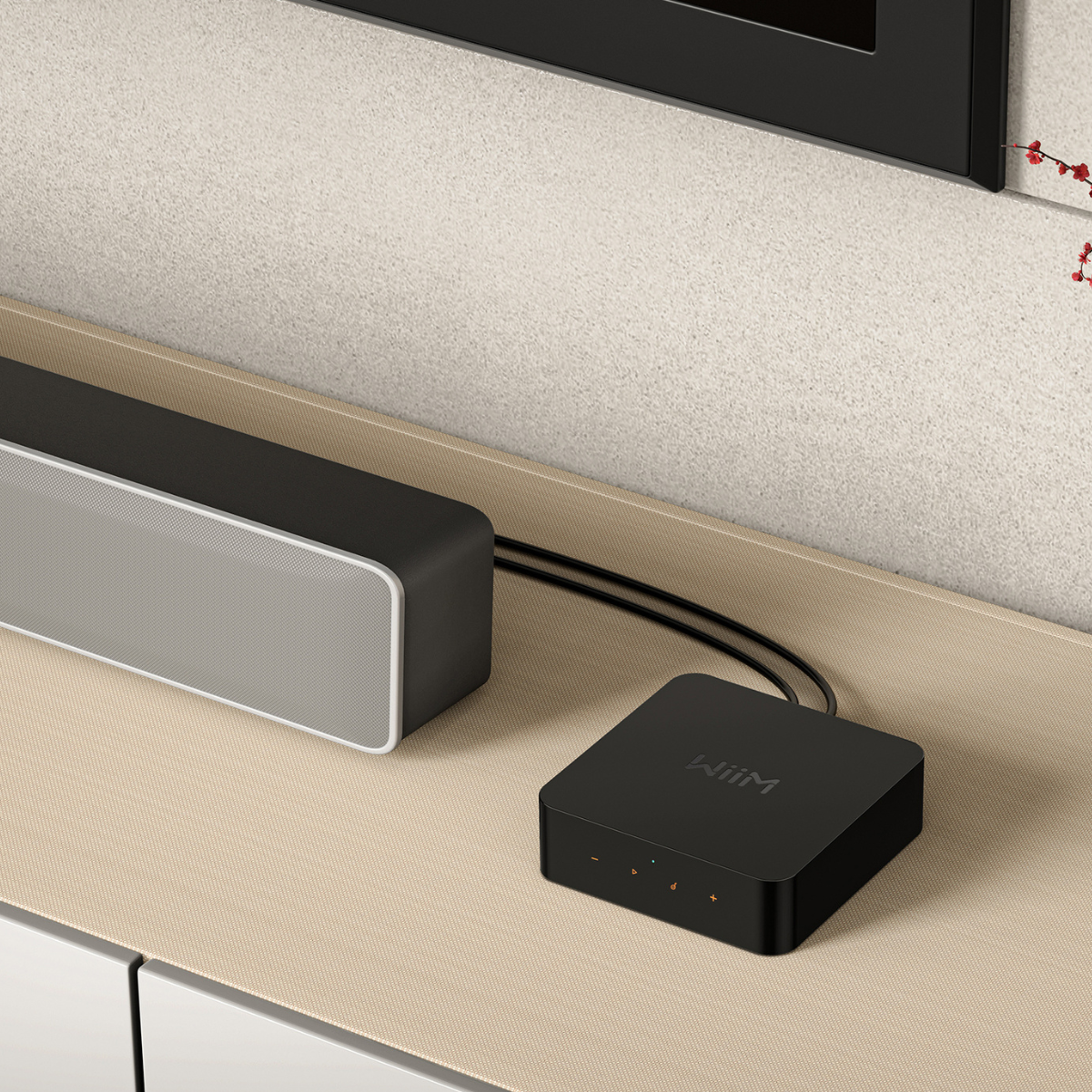 WiiM Pro Wireless Audio Streamer
