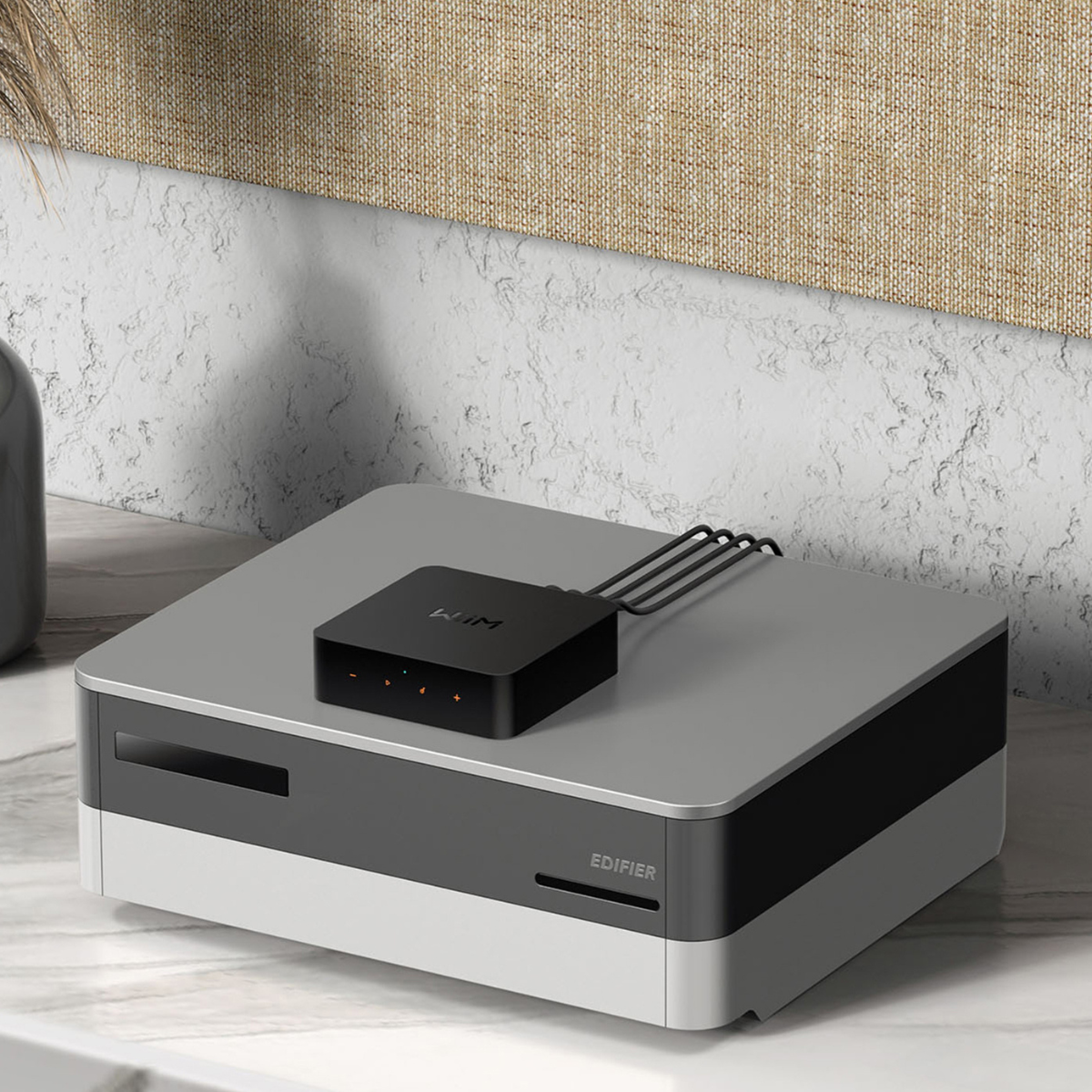WiiM Pro Wireless Audio Streamer