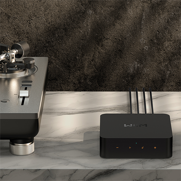 WiiM Pro Wireless Audio Streamer