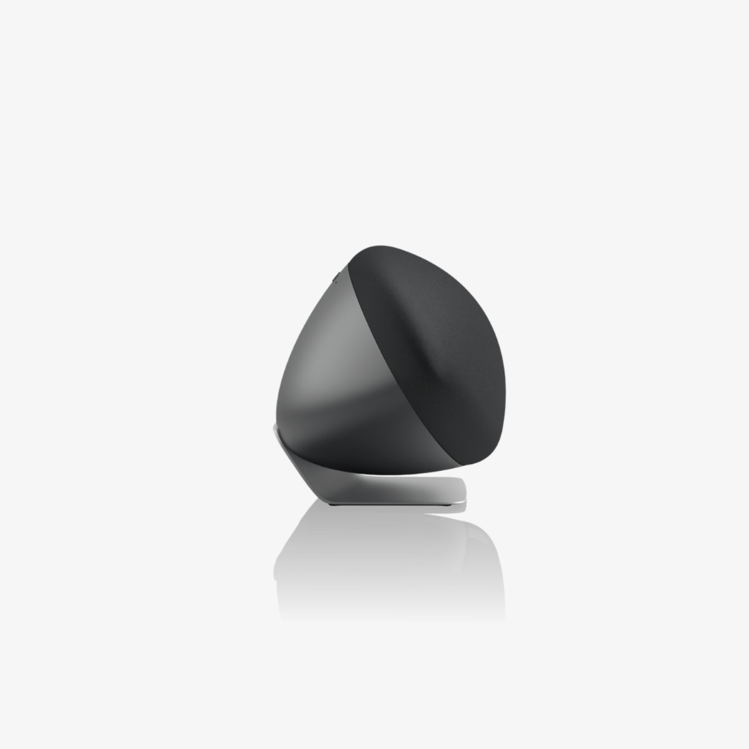 Bowers & Wilkins Zeppelin Pro Wireless Speaker | Bowers and Wilkins