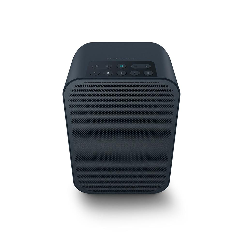BlueSound PULSE FLEX 2i Wireless Network Speaker with Bluetooth