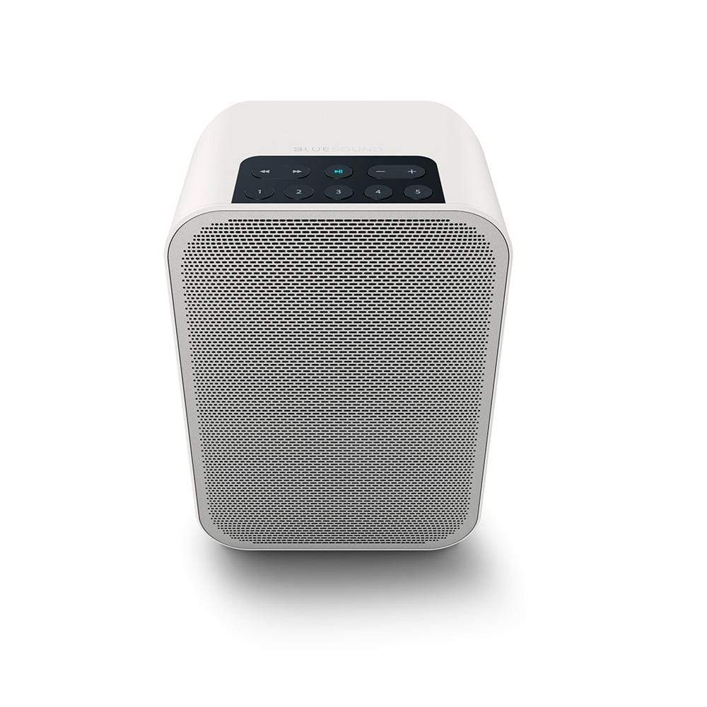 BlueSound PULSE FLEX 2i Wireless Network Speaker with Bluetooth