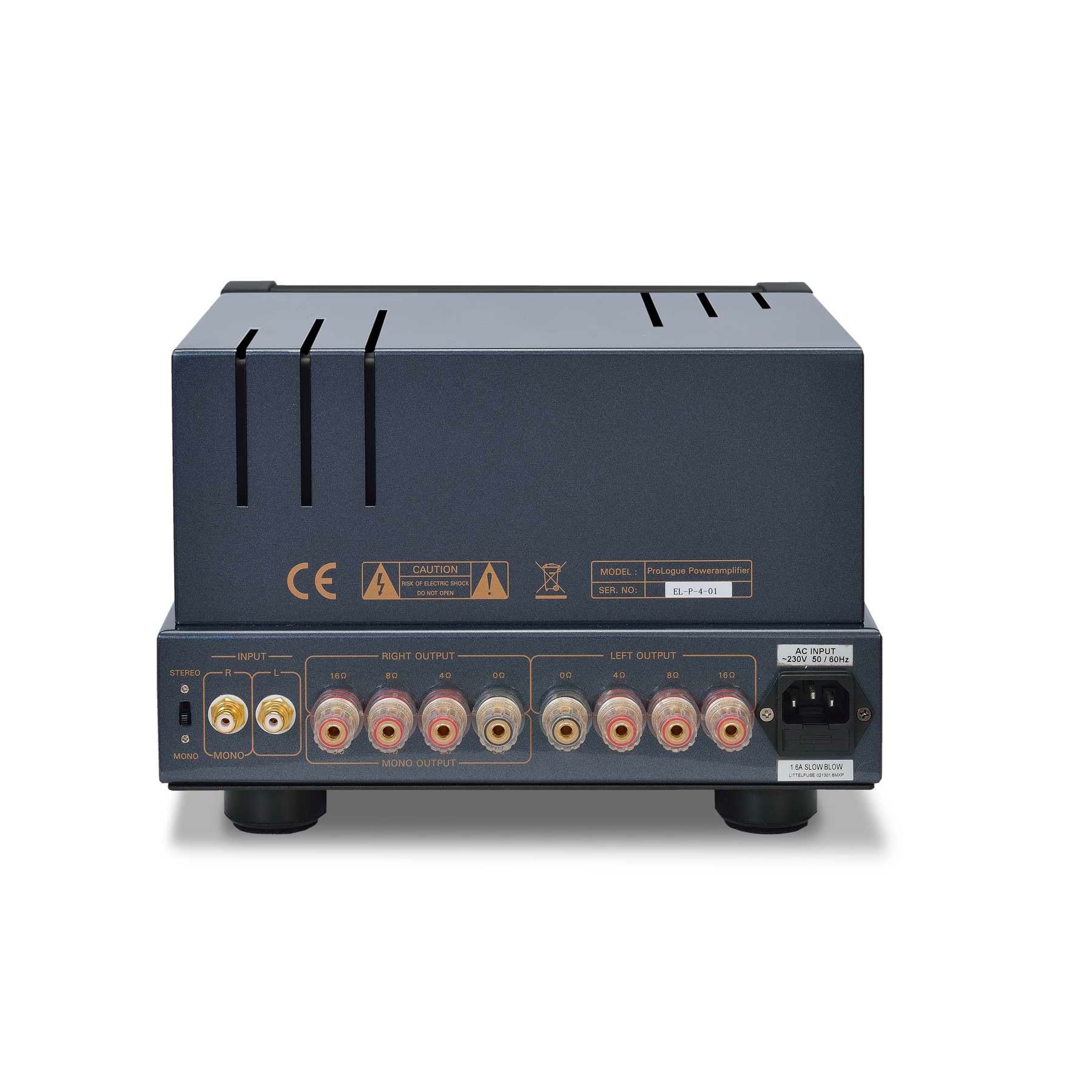 PrimaLuna EVO 100 Power Amplifier